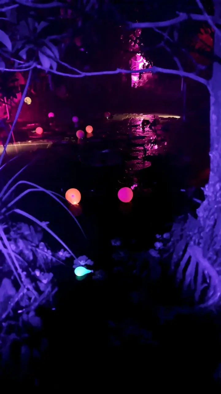 Botanical Lights