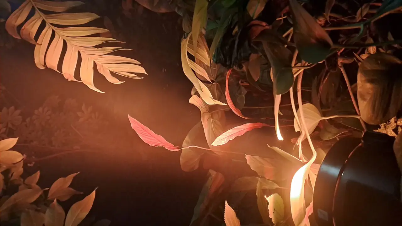 Botanical Lights