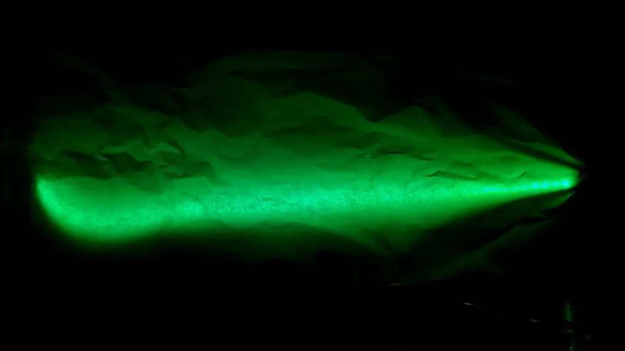 Botanical Lights