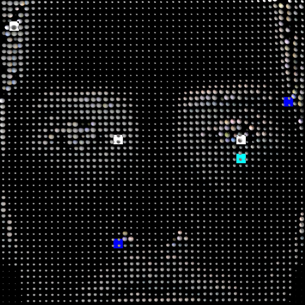 all_of_them,none_of_me_8.0